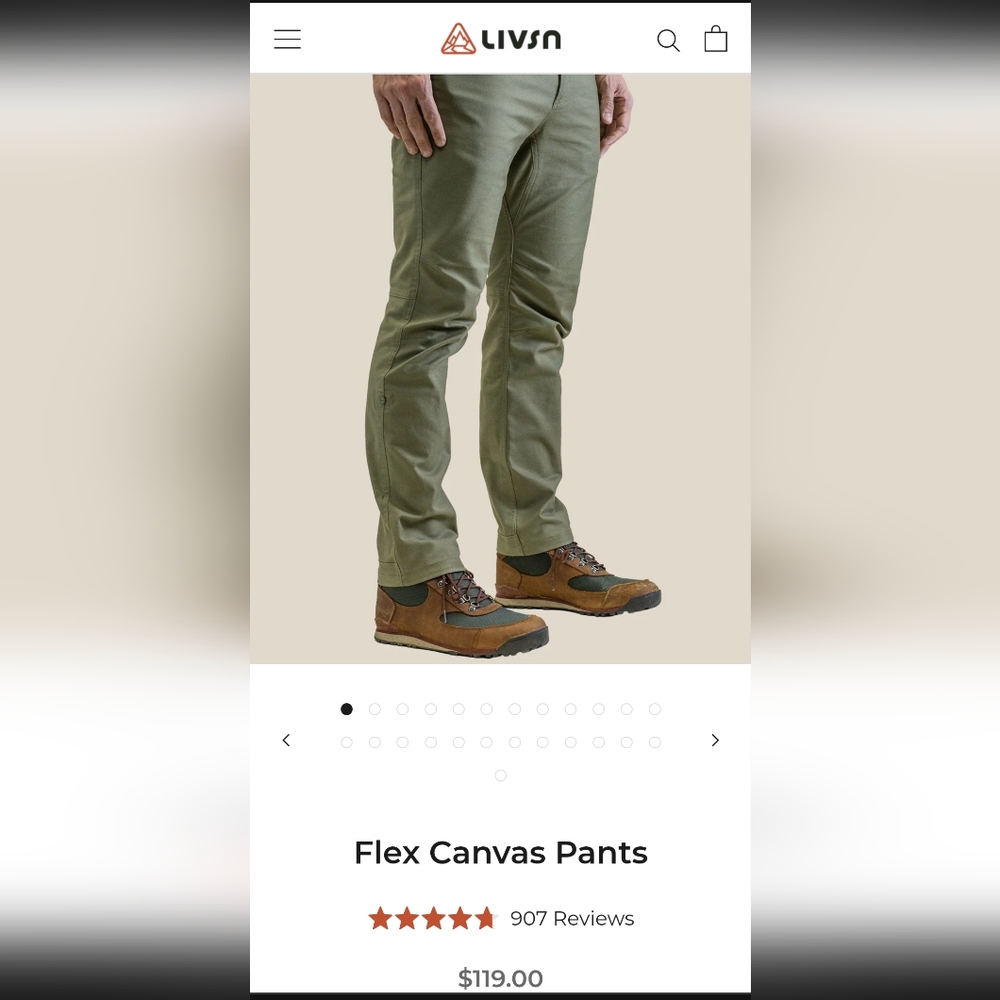 LIVSN Flex Canvas Pants 33x32